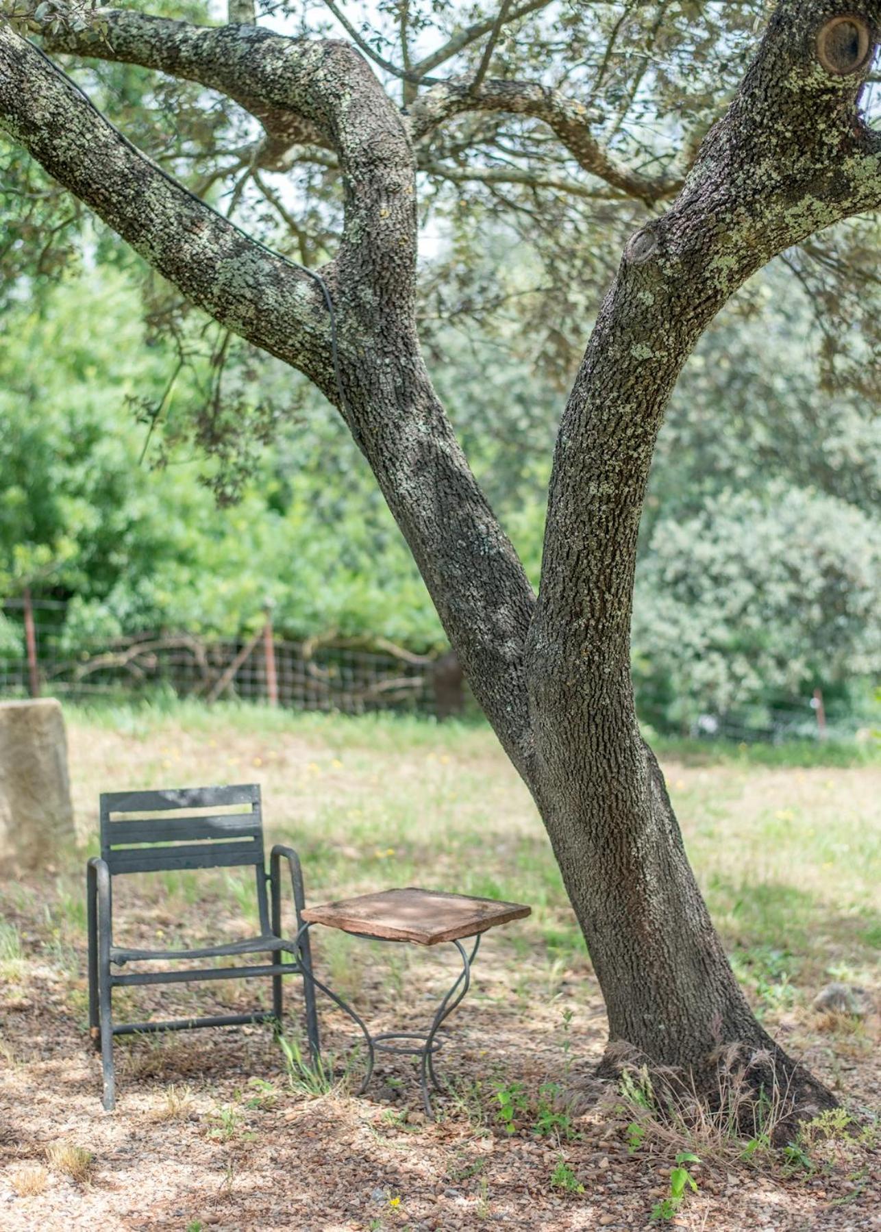 La Umbria De La Ribera Pensionat El Pedroso Eksteriør billede