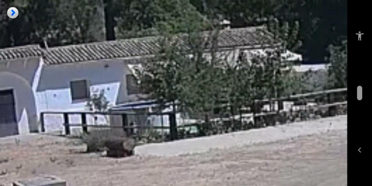 La Umbria De La Ribera Pensionat El Pedroso Eksteriør billede